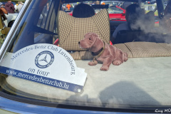 WhatsApp-Bild-2025-09-28-um-18.44.53_a71e764a